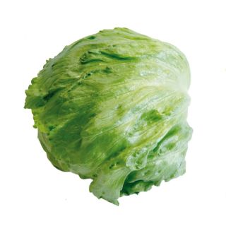 Compra LECHUGA VANGUARDIA Pildorada (25.000 Semillas) en la tienda online Fito Agrícola