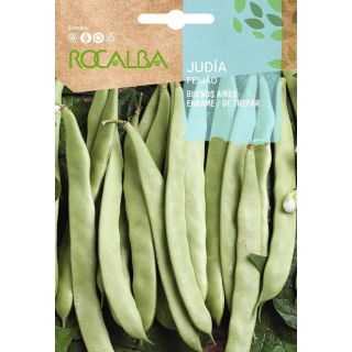 Compra JUDÍA BUENOS AIRES (50 gr.). en la tienda online Fito Agrícola