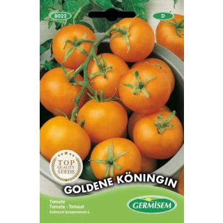 Compra TOMATE AMARILLO GOLDENE KONIGIN (0,5 gr.). en la tienda online Fito Agrícola