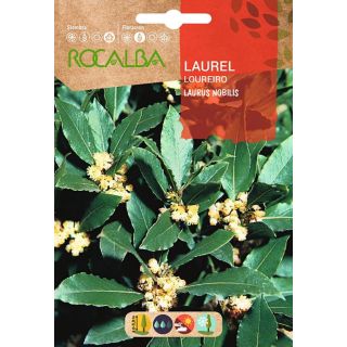 Compra LAUREL (4 Semillas). en la tienda online Fito Agrícola