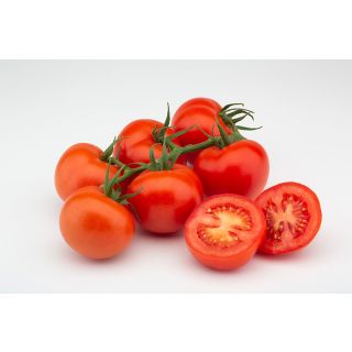 Compra TOMATE GONGORA F1 (1000 Semillas). en la tienda online Fito Agrícola