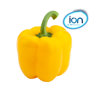 Compra PIMIENTO ILUSIÓN F1 (1000 Semillas). en la tienda online Fito Agrícola