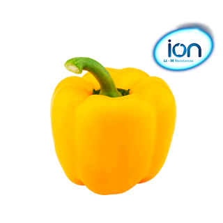 Compra PIMIENTO RADIÓN F1 (1000 Semillas). en la tienda online Fito Agrícola