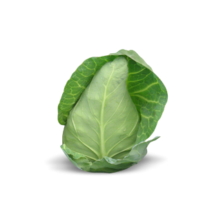 Compra COL REGENCY F1 Calibrada Sin tratar (2.500 Semillas) en la tienda online Fito Agrícola