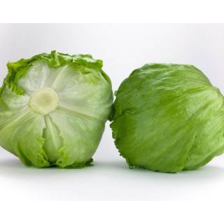 Compra LECHUGA VERNALIA Píldora Sphera (25.000 Semillas) en la tienda online Fito Agrícola