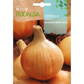 Compra CEBOLLA VALENCIANA TARDÍA RECAS (100 gr.) en la tienda online Fito Agrícola