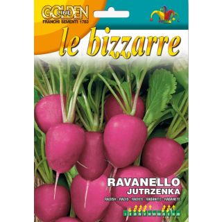 Compra RABANITO JUTRZENKA (12 gr.) en la tienda online Fito Agrícola