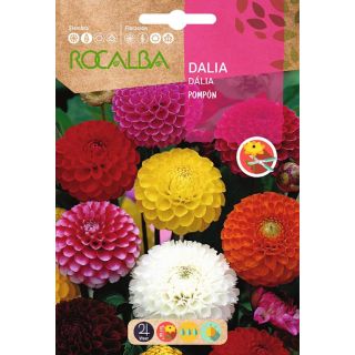 Compra DALIA POMPON (2 gr.). en la tienda online Fito Agrícola