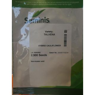 Compra COLIFLOR TALVENA F1 (2.500 Semillas) en la tienda online Fito Agrícola