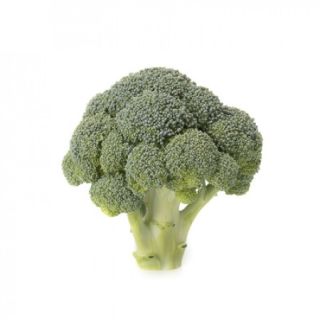 Compra BRÓCOLI NELIAM RZ F1 Precisión (2.500 Semillas) en la tienda online Fito Agrícola