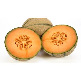 Compra MELÓN PEARL F1 (1.000 Semillas) en la tienda online Fito Agrícola