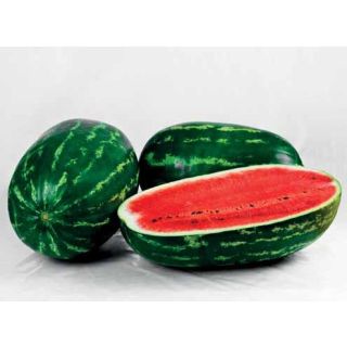 Compra SANDÍA ATTHOS F1 (1.000 Semillas) en la tienda online Fito Agrícola