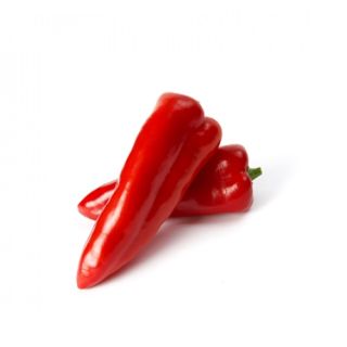 Compra PIMIENTO TOTALISA RZ F1 Precisión (1000 semillas). en la tienda online Fito Agrícola