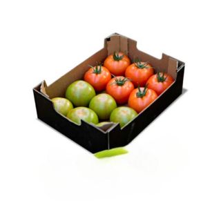 Compra TOMATE ERRASTY RZ F1 (1000 Semillas). en la tienda online Fito Agrícola
