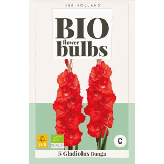 Compra GLADIOLO BUNGA BIO en la tienda online Fito Agrícola