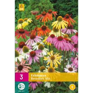Compra ECHINACEA BREEDERS MIX en la tienda online Fito Agrícola