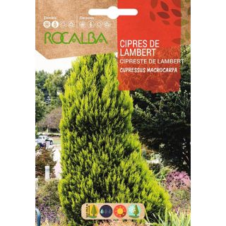 Compra CIPRÉS DE LAMBERT (1 gr.). en la tienda online Fito Agrícola