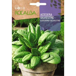 Compra ACEDERA SILVESTRE (2 gr. - Cerca de 2.000 Semillas) en la tienda online Fito Agrícola