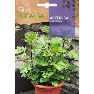 Compra ARTEMISA (1 gr. - Cerca de 10.000 Semillas) en la tienda online Fito Agrícola