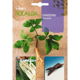 Compra GINSENG (4 Semillas). en la tienda online Fito Agrícola