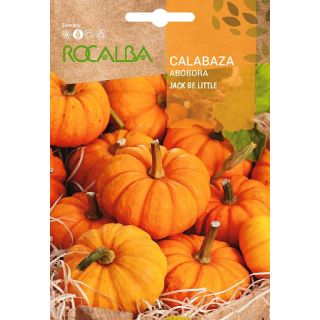 Compra CALABAZA JACK BE LITTLE (3 gr. ) en la tienda online Fito Agrícola