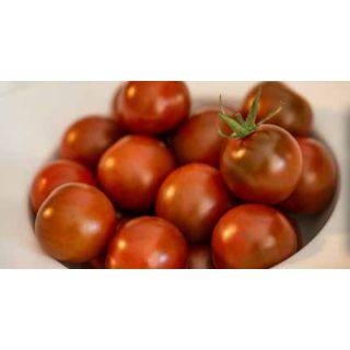 Compra TOMATE MACARON F1 (1000 Semillas). en la tienda online Fito Agrícola