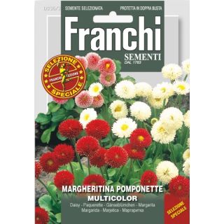 Compra MARGARITA POMPONETE MULTICOLOR (0,5 gr.). en la tienda online Fito Agrícola