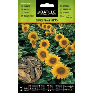 Compra GIRASOL PARA PIPAS (5 gr.). en la tienda online Fito Agrícola