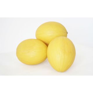 Compra MELÓN CHUPITO F1 (1000 Semillas) en la tienda online Fito Agrícola