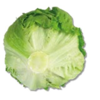 Compra LECHUGA MECANA Pildorada (25.000 Semillas) en la tienda online Fito Agrícola