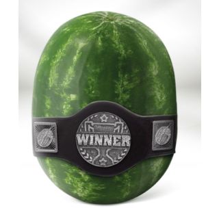 Compra SANDÍA INCEPTION F1 (1000 Semillas) en la tienda online Fito Agrícola