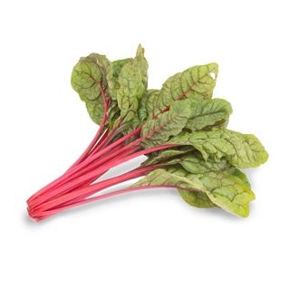 Compra ACELGA INTENSE (2.500 Semillas) en la tienda online Fito Agrícola