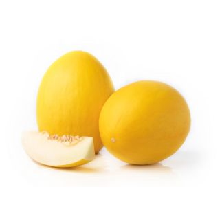 Compra MELÓN INDURAIN F-1 (1000 Semillas). en la tienda online Fito Agrícola