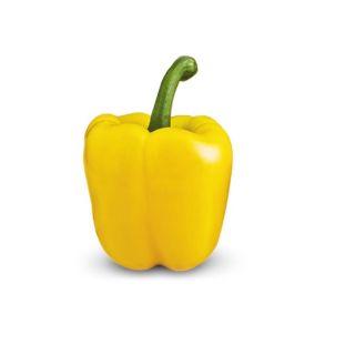 Compra PIMIENTO GASOL F1 (1.000 Semillas) en la tienda online Fito Agrícola