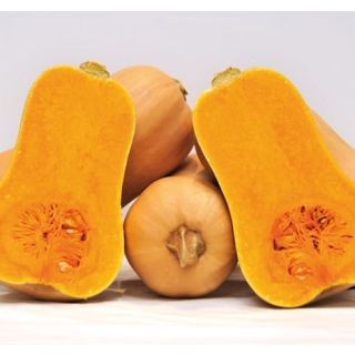 Compra CALABAZA HANNAH F1 (1000 Semillas). en la tienda online Fito Agrícola