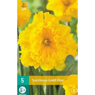 Compra NARCISOS GOLD DISC en la tienda online Fito Agrícola