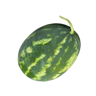 Compra SANDÍA CLEOPATRA F-1 (1.000 Semillas) en la tienda online Fito Agrícola