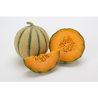 Compra MELÓN BORNEO F1 (1.000 Semillas). en la tienda online Fito Agrícola