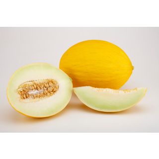 Compra MELÓN MIRLO F1 (1000 Semillas). en la tienda online Fito Agrícola