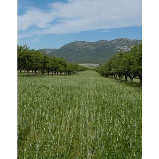 Compra CUBIERTA VEGETAL FRUTALES FLORA BIODIVERSIDAD (5 Kgr.). en la tienda online Fito Agrícola