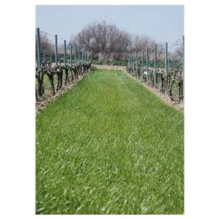 Compra CUBIERTA VEGETAL VIÑEDO (15 Kgr.). en la tienda online Fito Agrícola