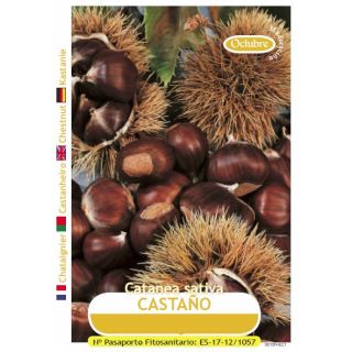 Compra CASTAÑO SV en la tienda online Fito Agrícola