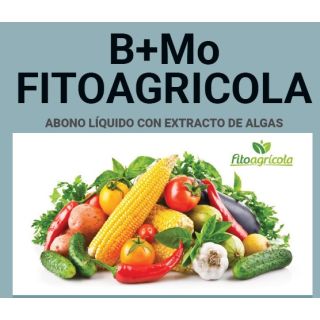 Compra BORO + Mo FITOAGRICOLA (20 l.) en la tienda online Fito Agrícola