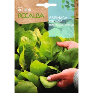 Compra ESPINACA VIROFLAY (5 Kgr.). en la tienda online Fito Agrícola