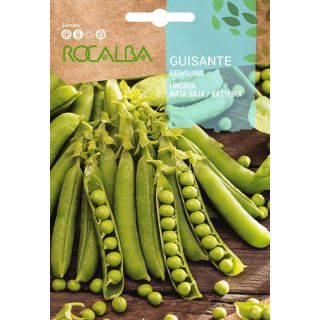 Compra GUISANTE LINCOLN (Gancho) (1 Kgr.) en la tienda online Fito Agrícola