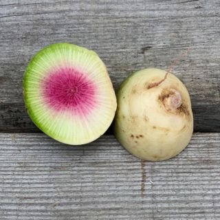 Compra RABANITO RED MEAT NT (500 Semillas). en la tienda online Fito Agrícola