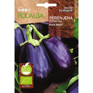 Compra BERENJENA BLACK BEAUTY BIO (500 gr.). en la tienda online Fito Agrícola