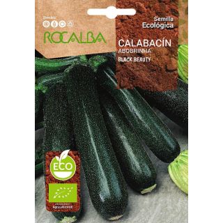 Compra CALABACÍN BLACK BEAUTY BIO (500 gr.). en la tienda online Fito Agrícola