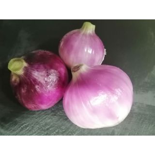 Compra CEBOLLA TROPEA TONDA OP (100 gr.). en la tienda online Fito Agrícola