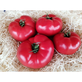 Compra TOMATE EUFORIA F1 (1000 Semillas). en la tienda online Fito Agrícola